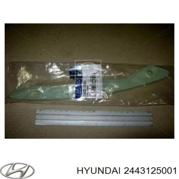 Заспокоювач ланцюга ГРМ 2443125001 Hyundai/Kia