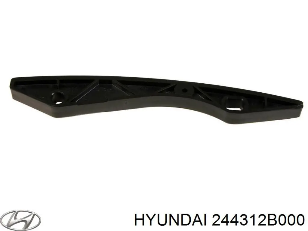 244312B000 Hyundai/Kia amortecedor de cadeia do mecanismo de distribuição de gás