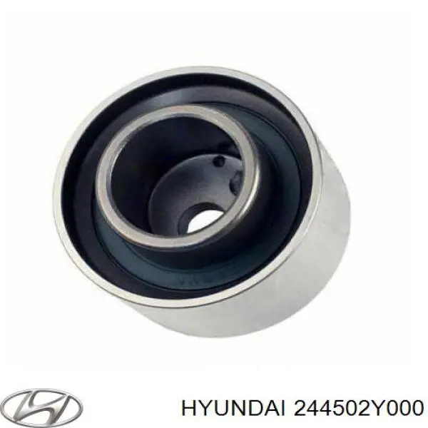 Купить 244502Y000 Hyundai/Kia Ролик натяжителя газораспределительного ремня