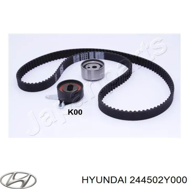 Ролик ГРМ 244502Y000 Hyundai/Kia