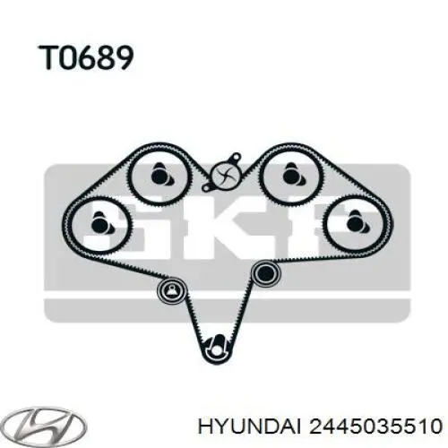 2445035510 Hyundai/Kia ролик грм