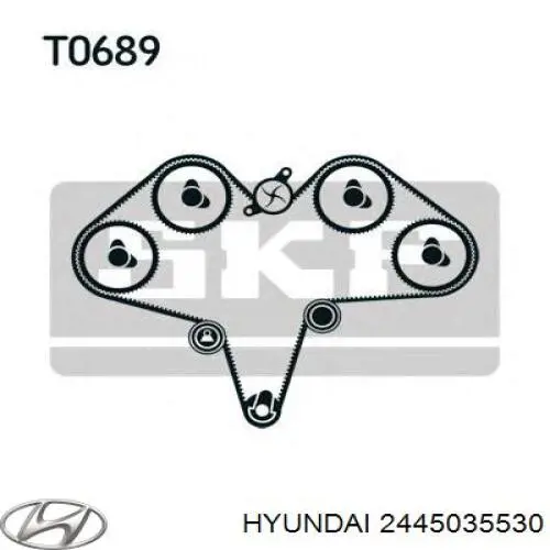 Ролик натяжителя Hyundai/Kia 2445035530
