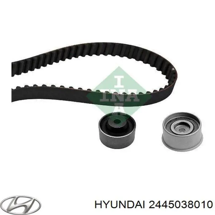 2445038010 Hyundai/Kia ролик грм