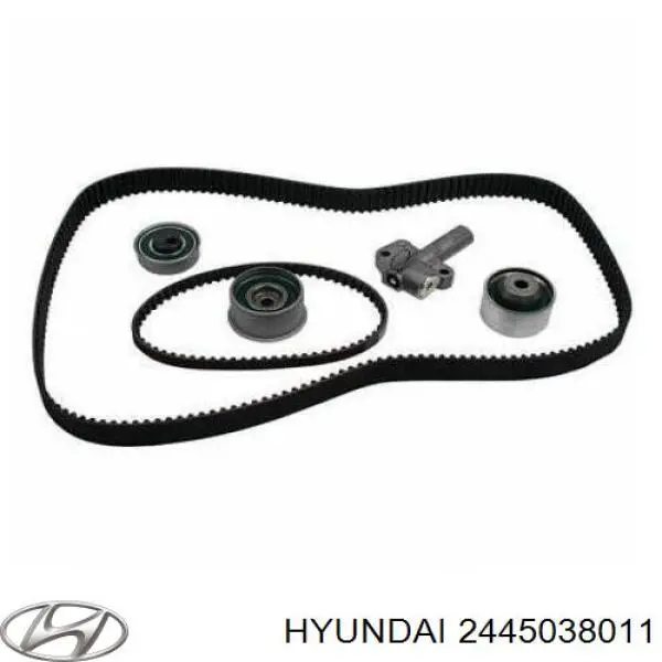 Купить 2445038011 Hyundai/Kia Ролик натяжителя газораспределительного ремня