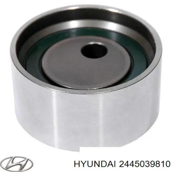 2445039810 Hyundai/Kia