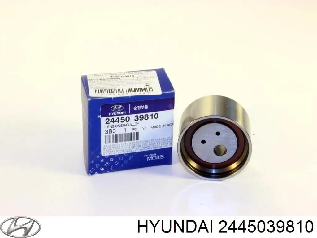 2445039810 Hyundai/Kia rolo de reguladora de tensão da correia do mecanismo de distribuição de gás