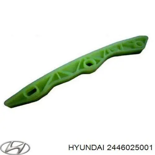 2446025001 Hyundai/Kia натяжитель цепи насоса масляного