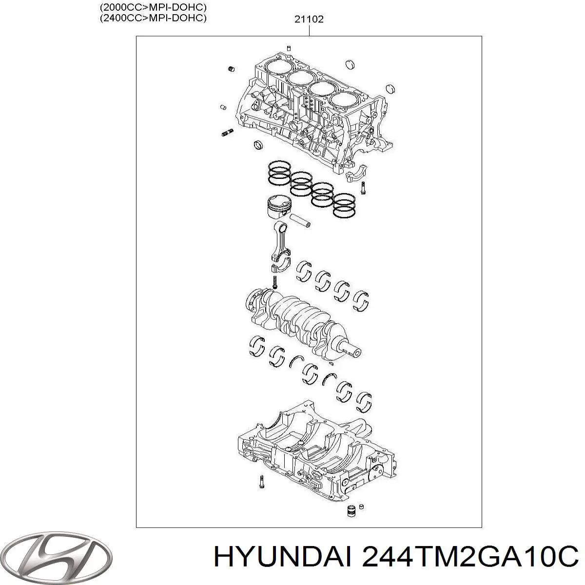  244TM2GA10C Hyundai/Kia