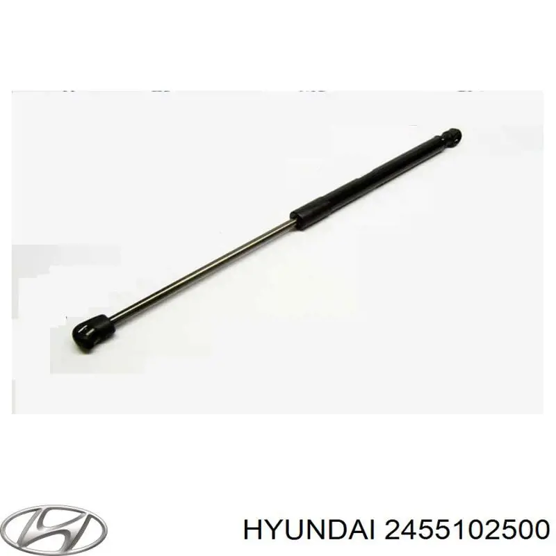 Коромысло клапана (рокер) впускной Hyundai/Kia 2455102500 цена, от 21.27 USD