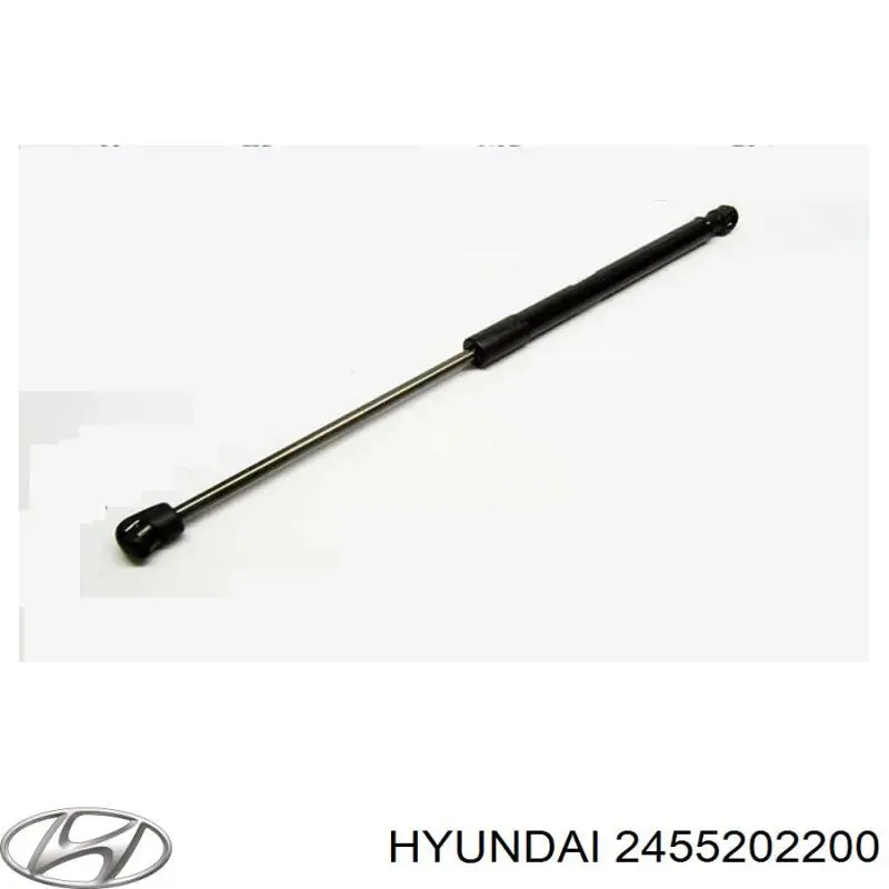 Купить 2455202210 Hyundai/Kia Коромысло клапана (рокер) выпускной