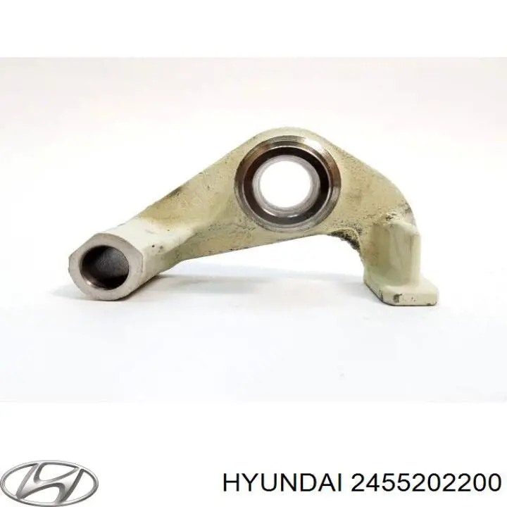 Коромысло клапана (рокер) выпускной Hyundai/Kia 2455202210 цена, от 16.85 USD