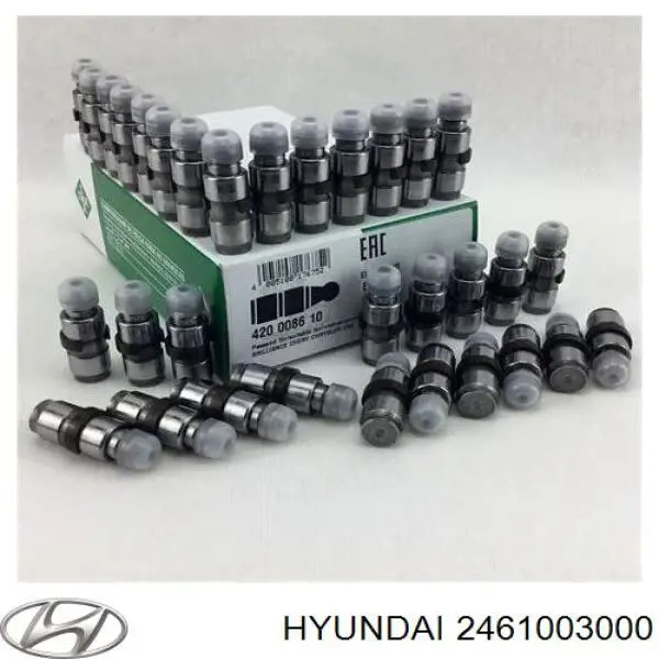 2461003000 Hyundai/Kia Гидрокомпенсатор