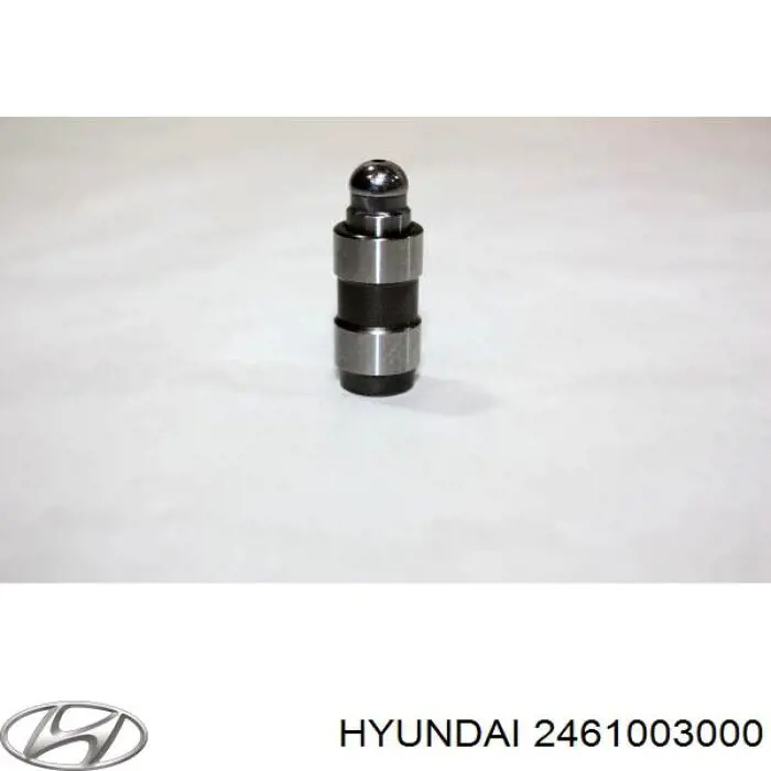 Гидрокомпенсатор 2461003000 Hyundai/Kia