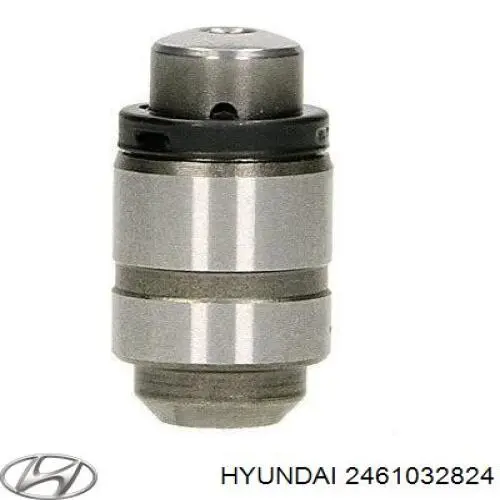 2461032824 Hyundai/Kia Гидрокомпенсатор