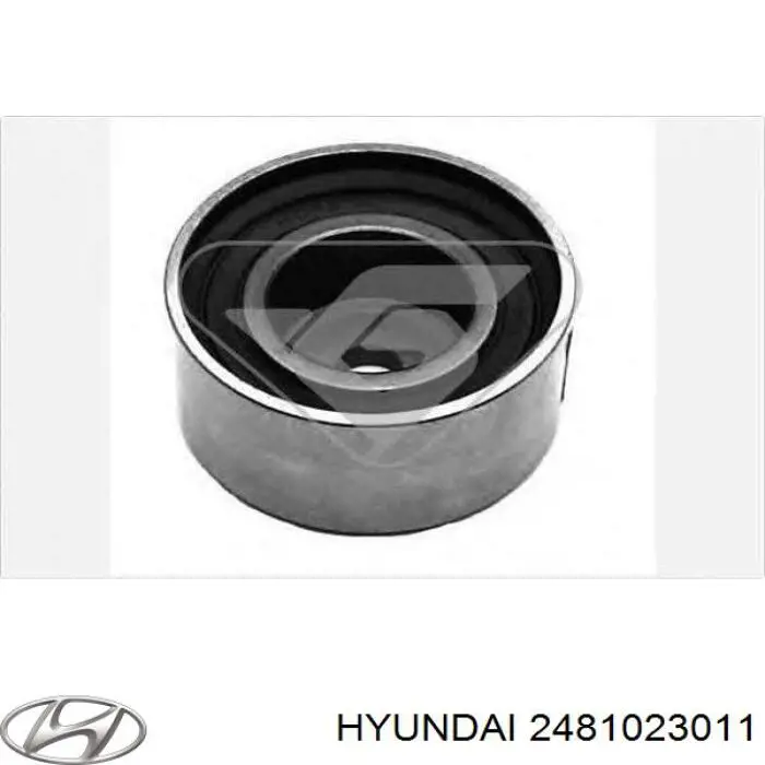 Ролик ремня ГРМ, паразитный Hyundai/Kia 2481023011