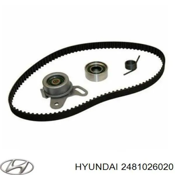 2481026020 Hyundai/Kia Паразитный ведущий ролик