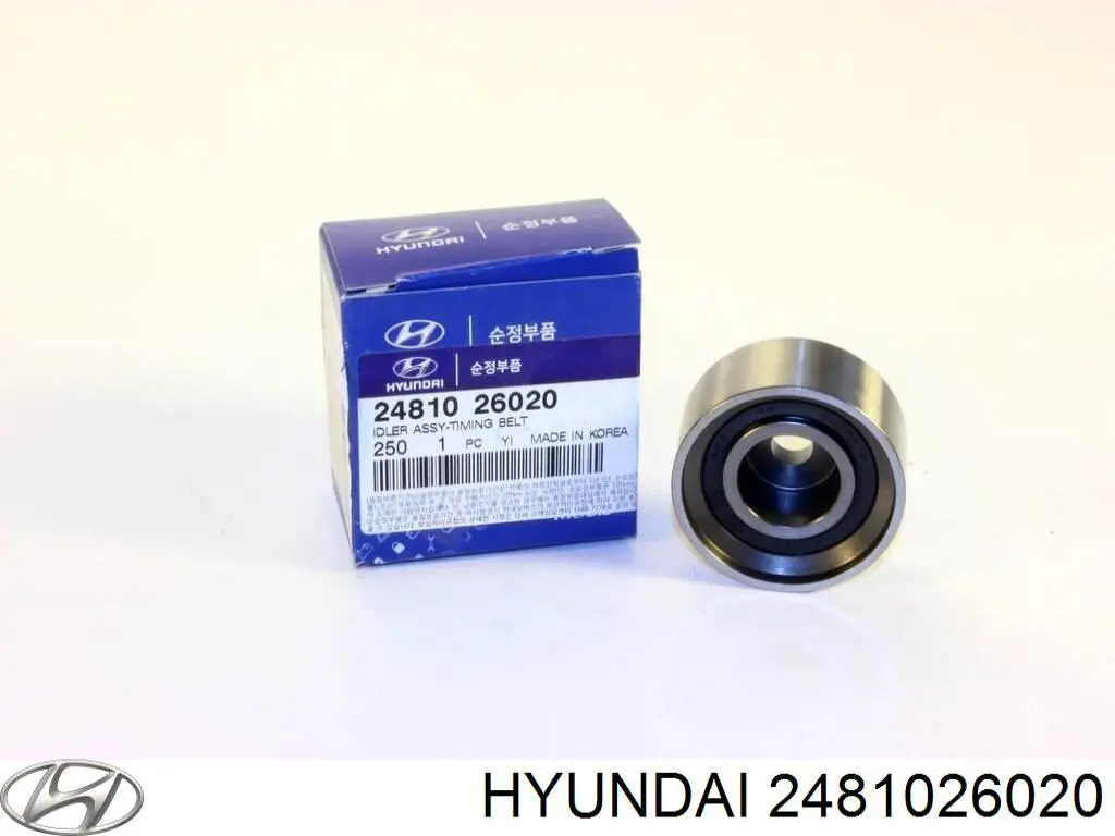 2481026020 Hyundai/Kia ролик ремня грм паразитный