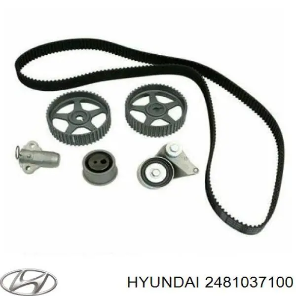 Купить 2481037100 Hyundai/Kia Ведуший ролик ГРМ