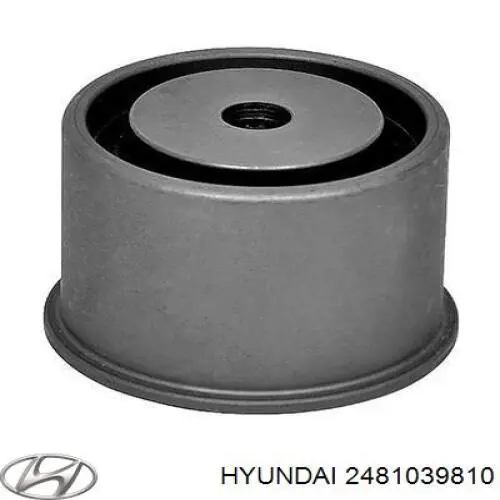 2481039810 Hyundai/Kia rolo parasita da correia do mecanismo de distribuição de gás