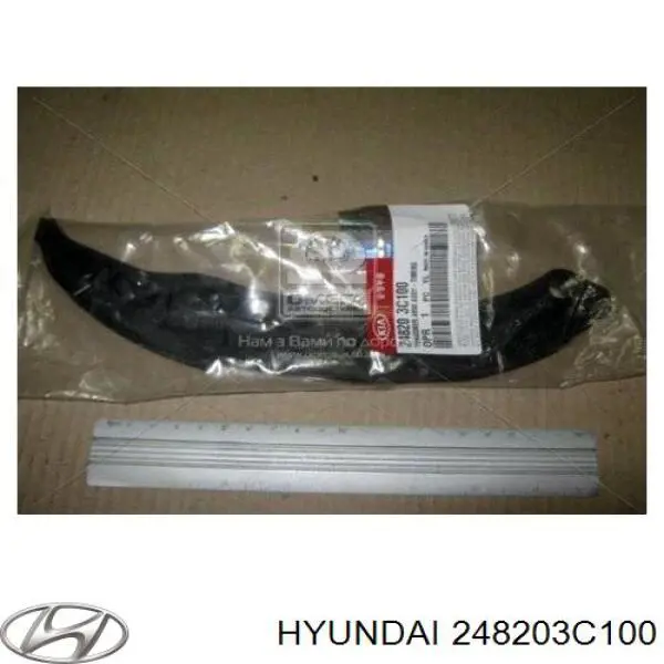 Башмак натяжителя цепи ГРМ на Hyundai Veracruz 