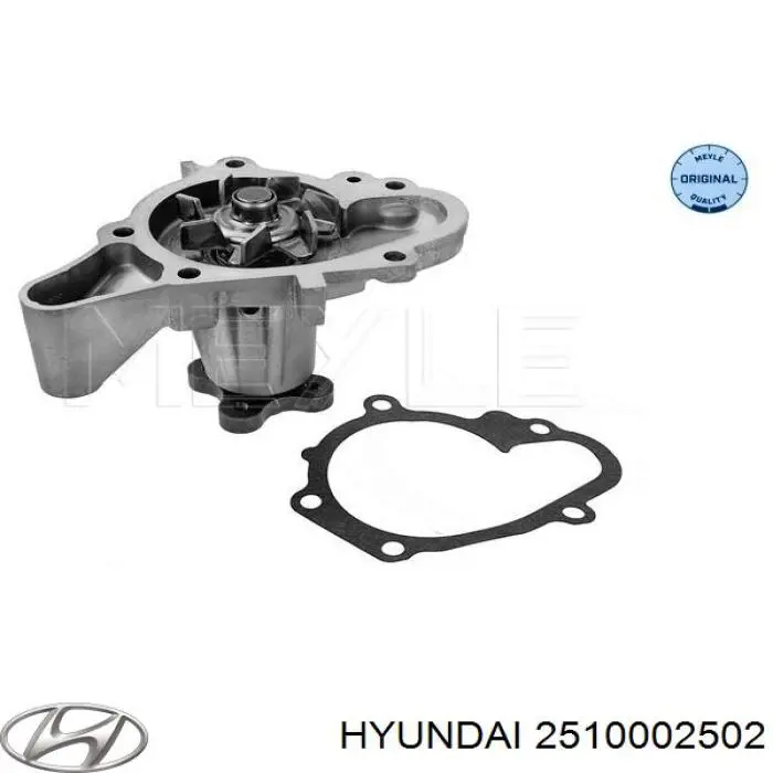 Купить 2510002502 Hyundai/Kia Насос охлаждения