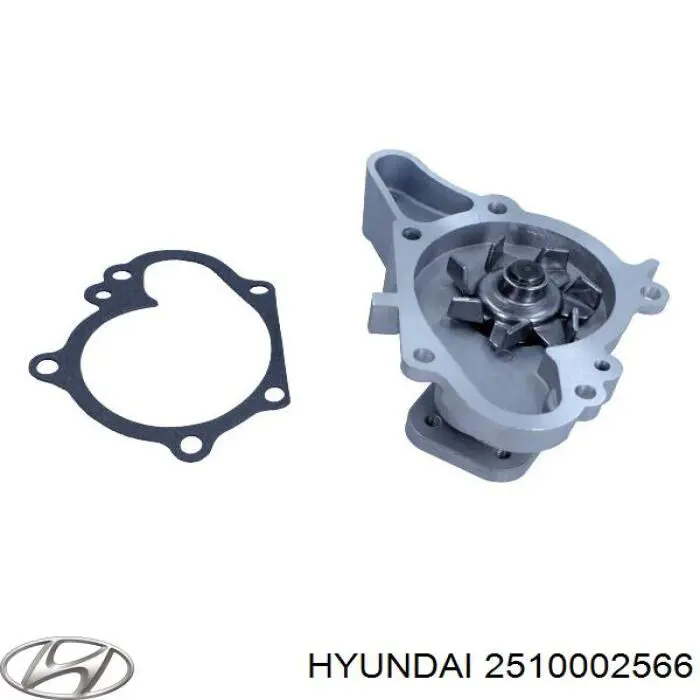 2510002566 Hyundai/Kia помпа