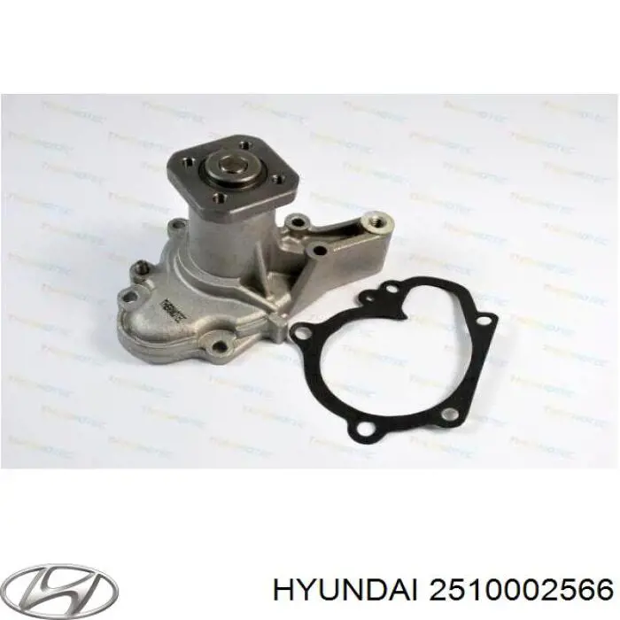 Купить 2510002566 Hyundai/Kia Насос охлаждения