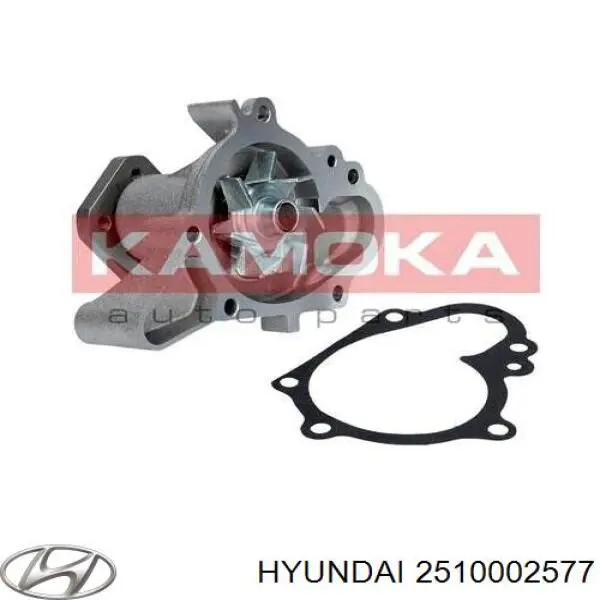2510002577 Hyundai/Kia помпа