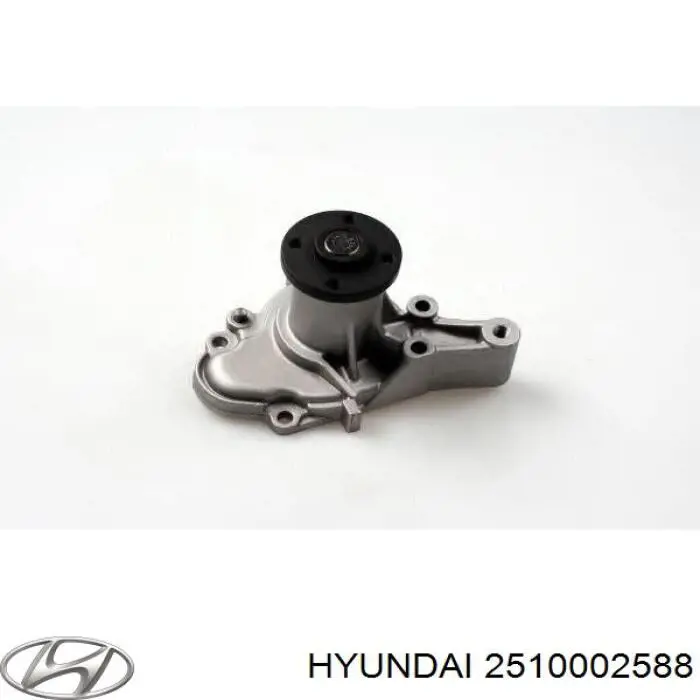 2510002588 Hyundai/Kia помпа