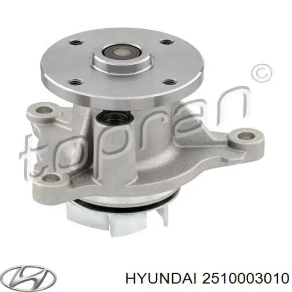 Помпа 2510003010 Hyundai/Kia