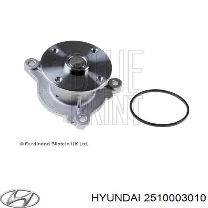 Водяной насос Hyundai/Kia 2510003010