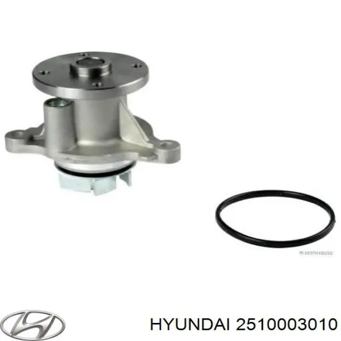 Bomba de agua 2510003010 Hyundai/Kia