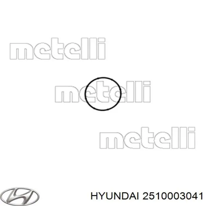  2510003041 Hyundai/Kia