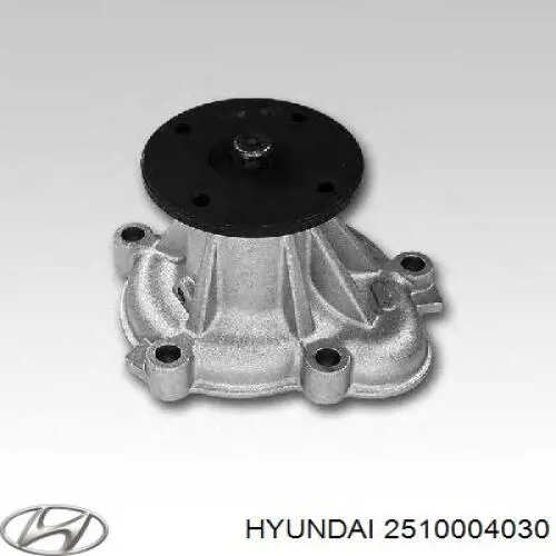 2510004030 Hyundai/Kia bomba de água (bomba de esfriamento)