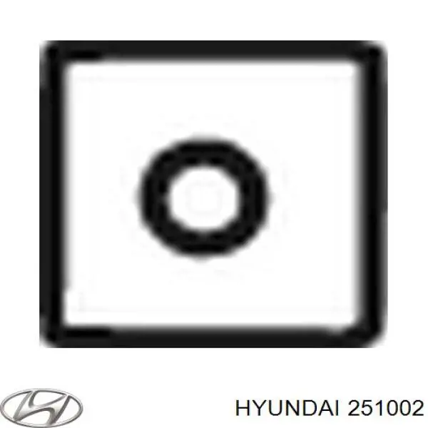 251002 Hyundai/Kia помпа