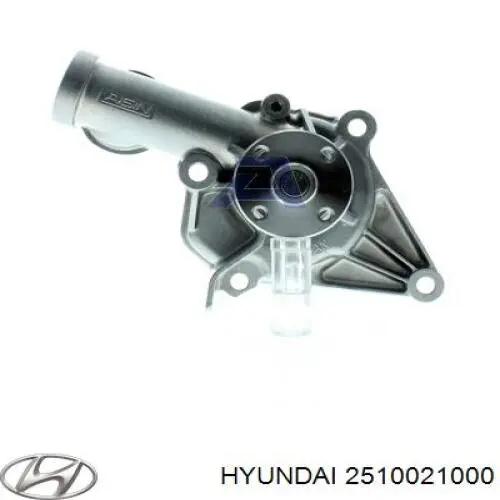 Помпа 2510021000 Hyundai/Kia