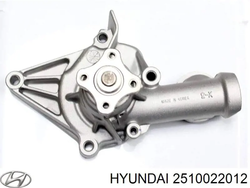 2510022012 Hyundai/Kia помпа