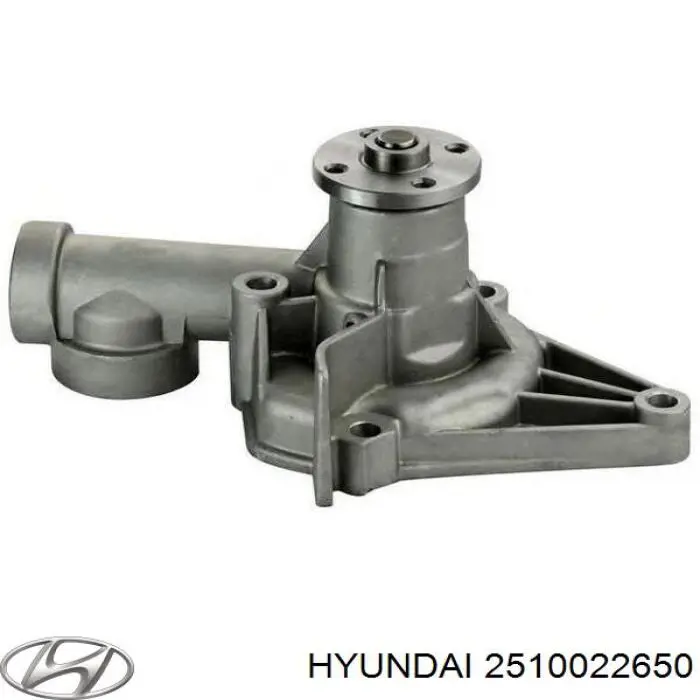 2510022650 Hyundai/Kia помпа