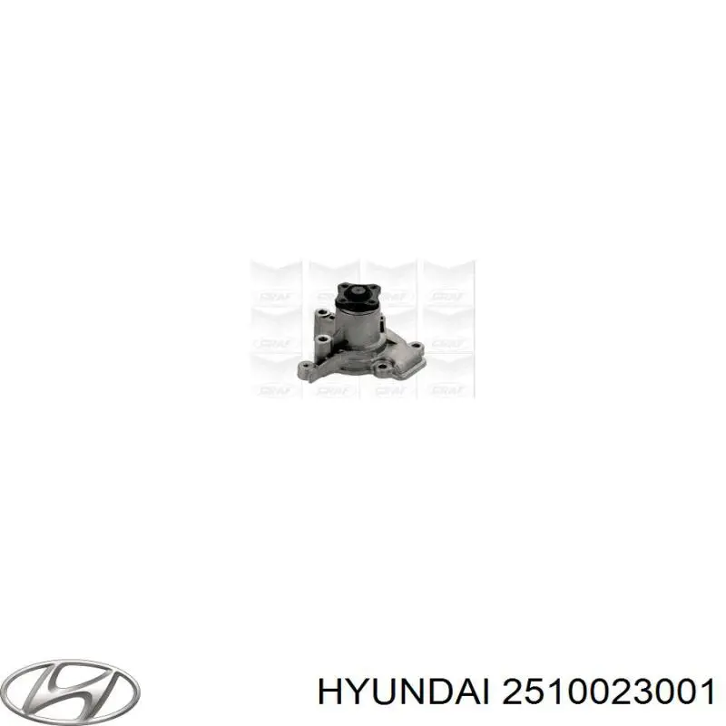 Купить 2510023001 Hyundai/Kia Насос охлаждения