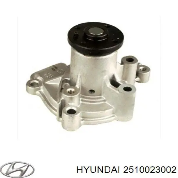2510023002 Hyundai/Kia помпа
