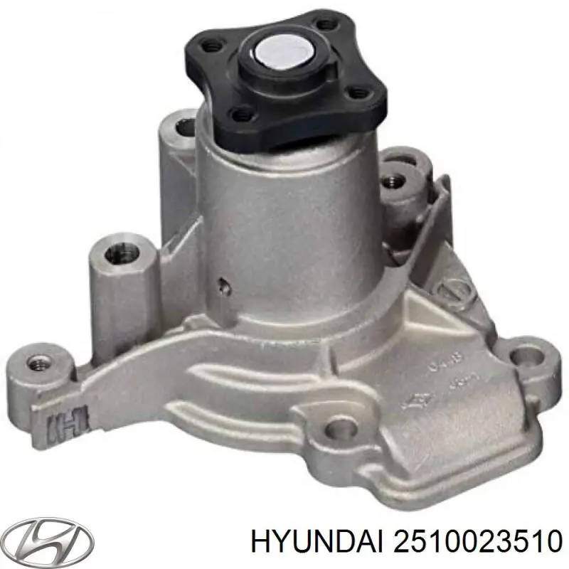 2510023510 Hyundai/Kia помпа