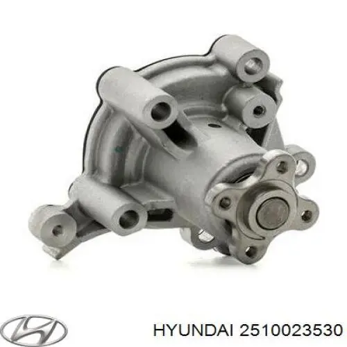 2510023530 Hyundai/Kia bomba de água (bomba de esfriamento)