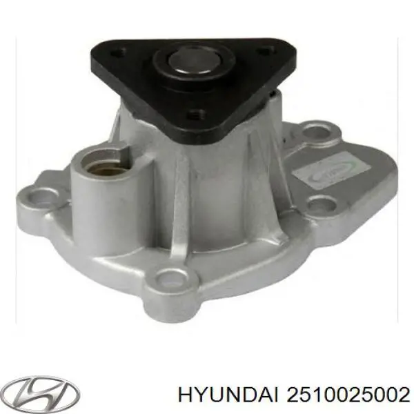 2510025002 Hyundai/Kia помпа водяная (насос охлаждения, в сборе с корпусом)