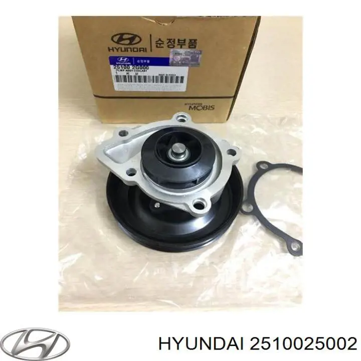 2510025002 Hyundai/Kia