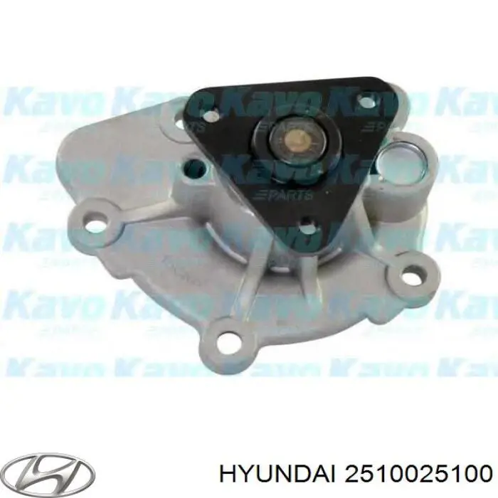 Помпа водяная (насос) охлаждения, в сборе с корпусом 2510025100 Hyundai/Kia