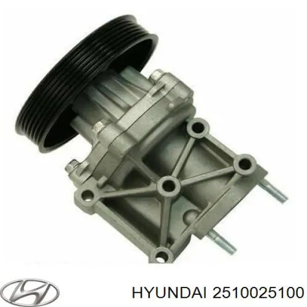 2510025100 Hyundai/Kia
