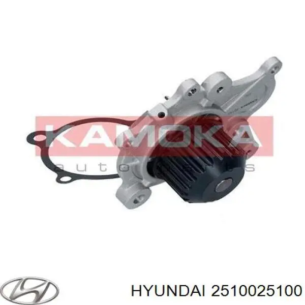 Помпа водяная, корпус Hyundai/Kia 2510025100