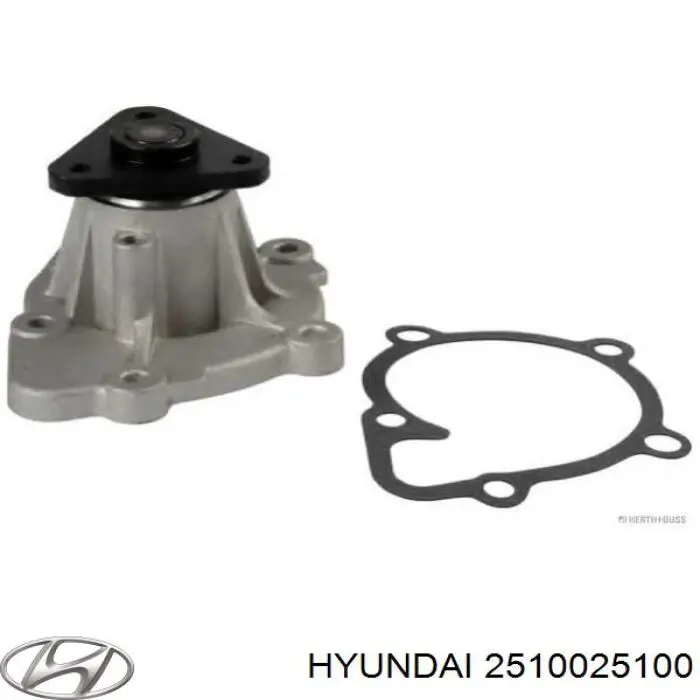 Купить 2510025100 Hyundai/Kia Помпа водяная (насос) охлаждения, в сборе с корпусом