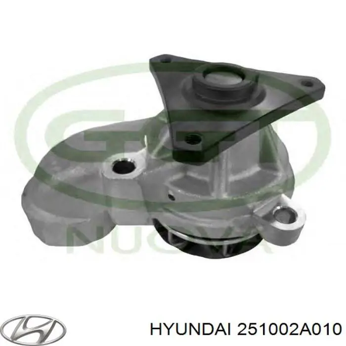 251002A010 Hyundai/Kia помпа