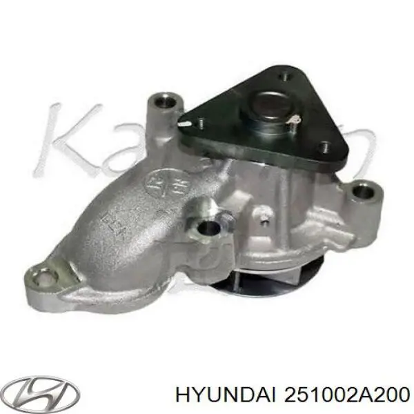 251002A200 Hyundai/Kia помпа